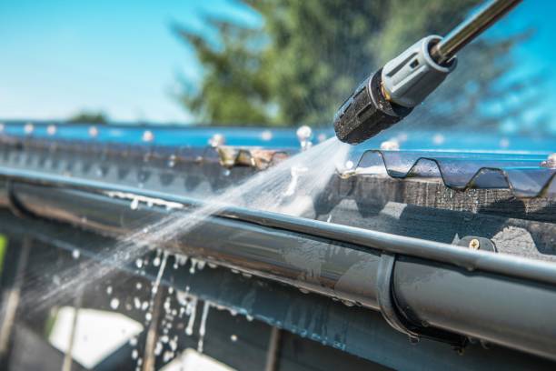 Best Residential Pressure Washing Services  in Pine Island, MN