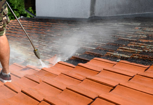 Best Deck Pressure Washing  in Pine Island, MN