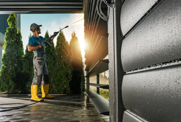 Best Commercial Pressure Washing  in Pine Island, MN