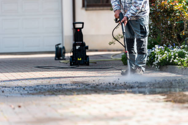 Best Commercial Building Pressure Washing  in Pine Island, MN