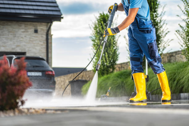 Best Commercial Building Pressure Washing  in Pine Island, MN